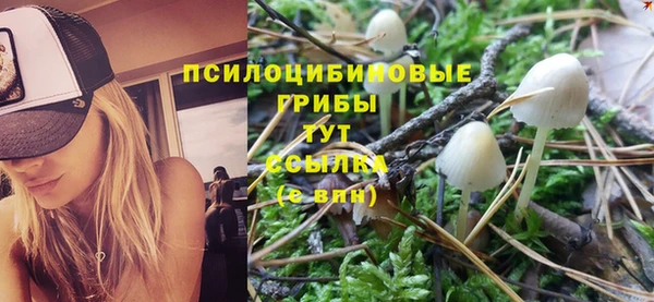 бошки Абаза