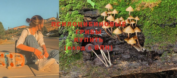 бошки Абаза