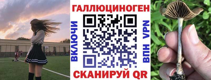 Псилоцибиновые грибы прущие грибы кракен маркетплейс Инза